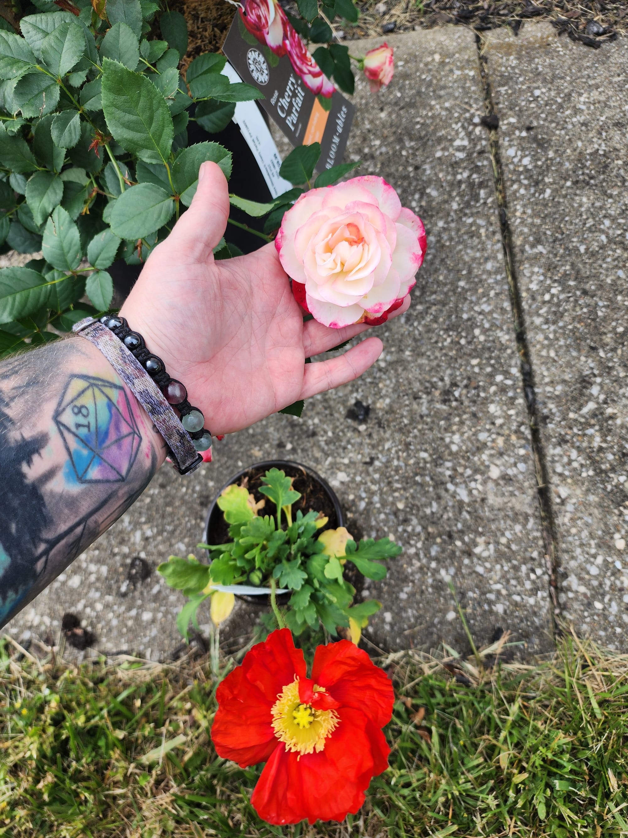 Coming Back After A Hiatus (& A Trip!)